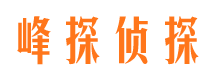 枣阳外遇出轨调查取证